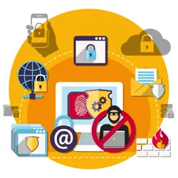 Embalagem de Transporte e Exportação